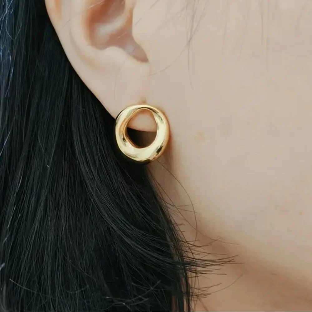 Elegant Gold-Tone Earrings steel